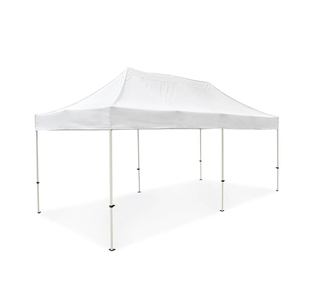 Tent 10 x 20